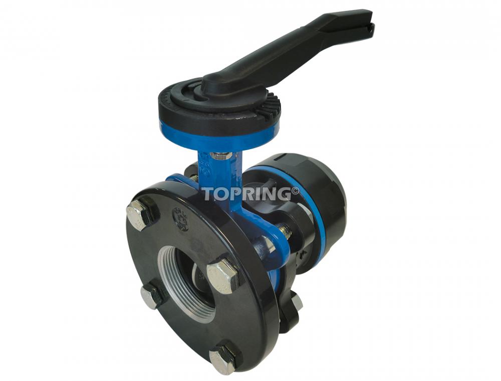 Robinet quart de tour 2-1/2(F)NPT x 80mm PPS CRN