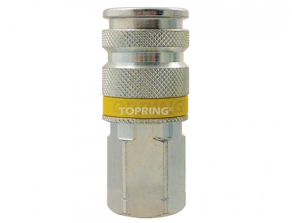 Raccord rapide 1/4 Aro 210 en acier 1/4 (F) NPT (multiple de 100)