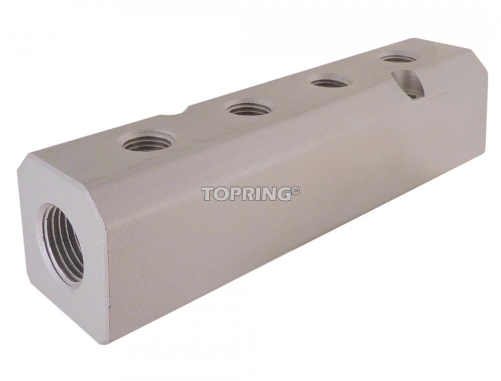 Barre de distribution en aluminium 1/2 (F) NPT avec 4 sorties 1/4 (F) NPT
