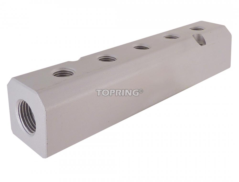 Barre de distribution en aluminium 1/2 (F) NPT avec 5 sorties 1/4 (F) NPT