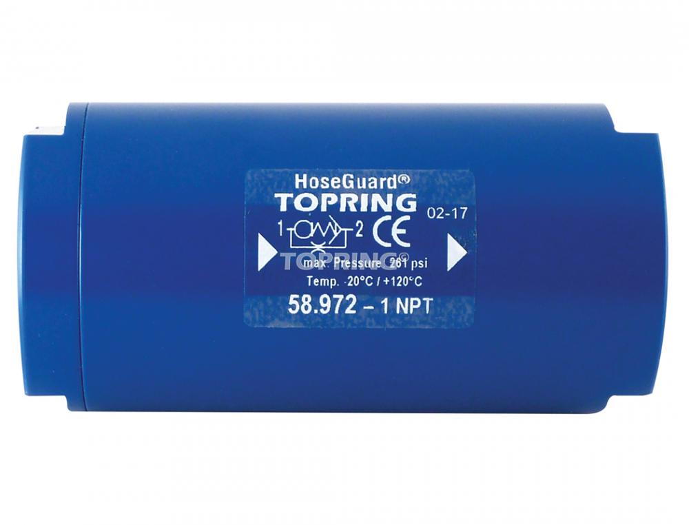 Soupape anti-coups de fouet en aluminium 163 SCFM 1 (F) ?  1 (F) NP