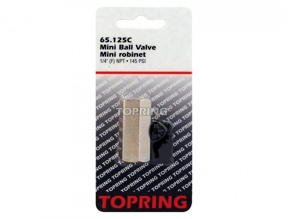 Valve miniature en laiton 1/4 (F) NPT