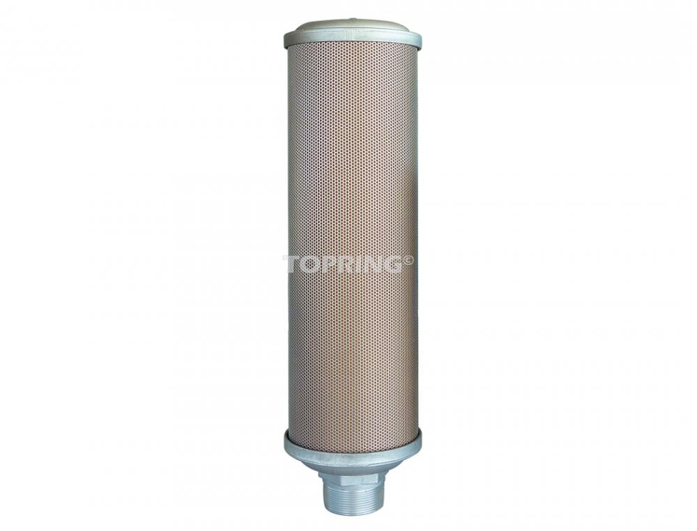 Silencieux pneumatique à soupape de décharge 2 (M) NPT