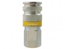 Topring 23.446.100 - Raccord rapide 1/4 Aro 210 en acier 1/4 (F) NPT (multiple de 100)