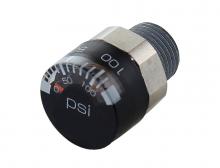 Topring 40.817 - Bouchon 1/4 (M) NPT avec manom?¨tre (multiple de 2