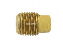 Topring 41.69 - Bouchon tête carrée 3/4 (M)NPT